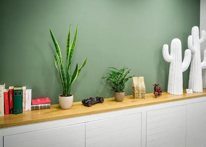 Big Rose Guest house